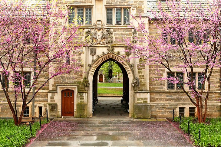 Princeton University