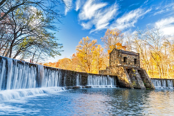 Speedwell Waterfall