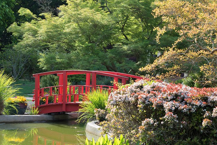 Footbridge at the New Hanover County Arboretum