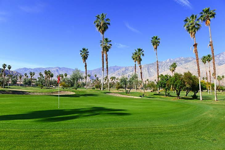 Golf course in Palm Springs