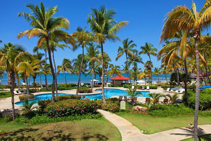 Photo Source: Copamarina Beach Resort & Spa