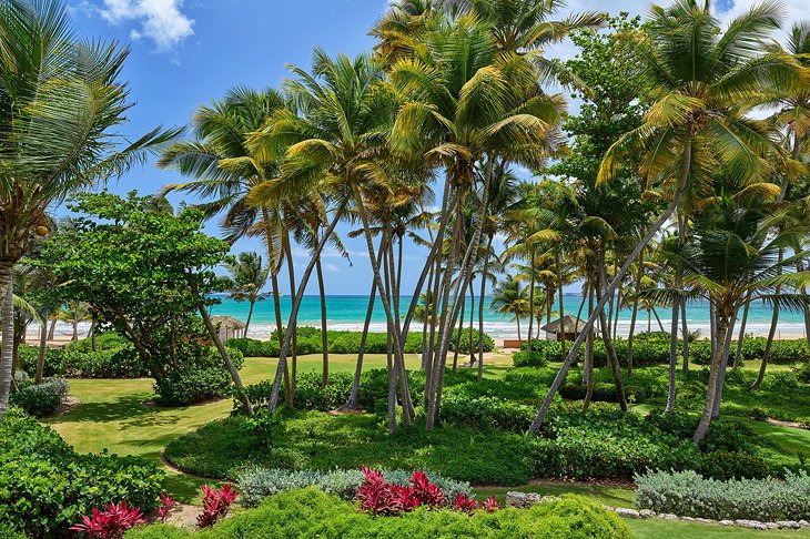 Photo Source: St. Regis Bahia Beach Resort