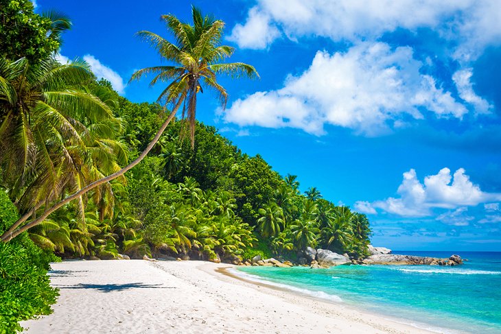 Tropical beach on Felicite Island