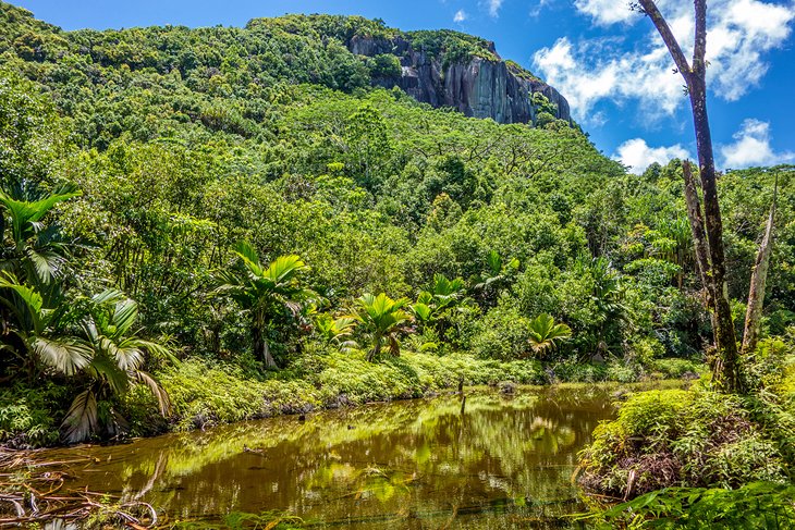 Morne Seychellois National Park