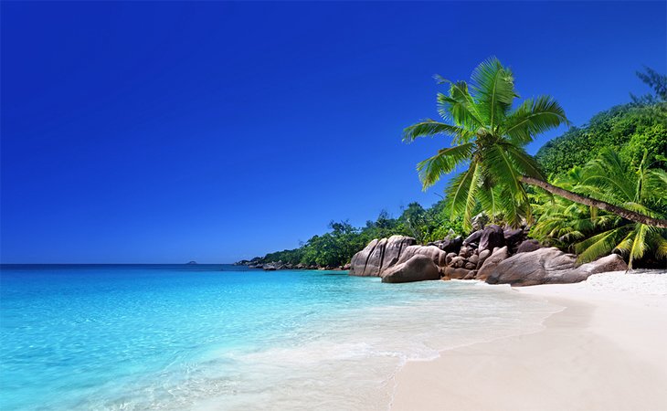 Une plage tropicale immaculée sur l'île de Praslin