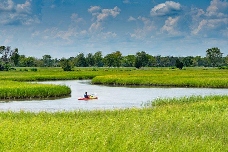 Kayaker in Beaufort's marshlands