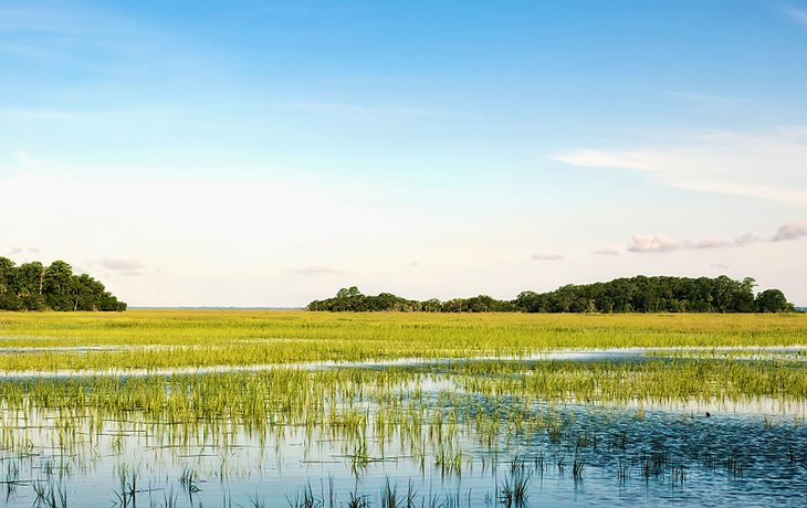 Cypress Wetlands