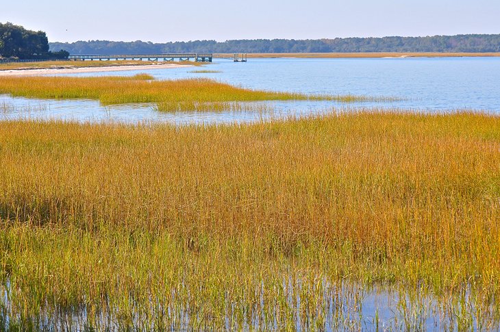 Tidal marshes in Port Royal Sound, South Carolina