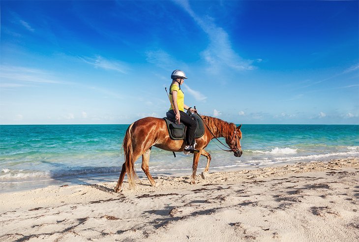 Équitation de fille sur la plage de Long Bay