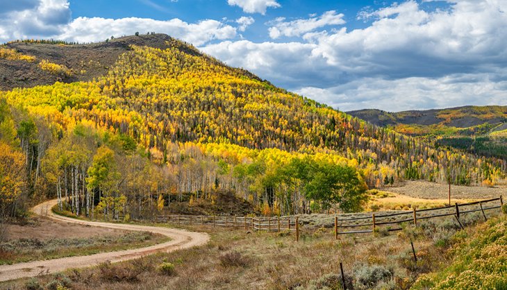 Fall colors in Grand County, Colorado