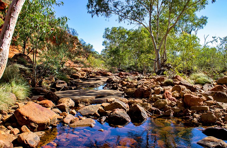 The Kings Creek Walk