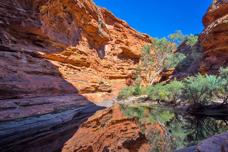 The Garden of Eden in Kings Canyon