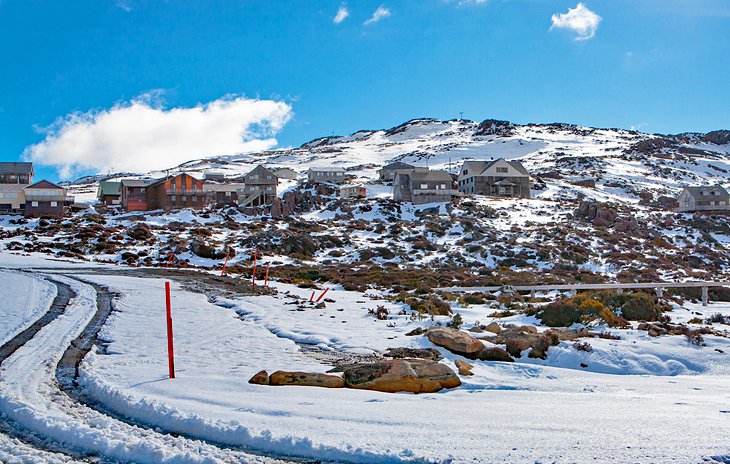 Ben Lomond Alpine Resort, Ben Lomond National Park