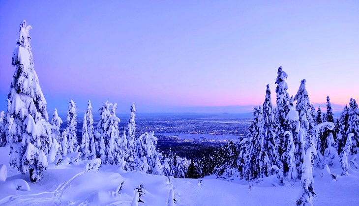 View of Vancouver from Cypress Mountain