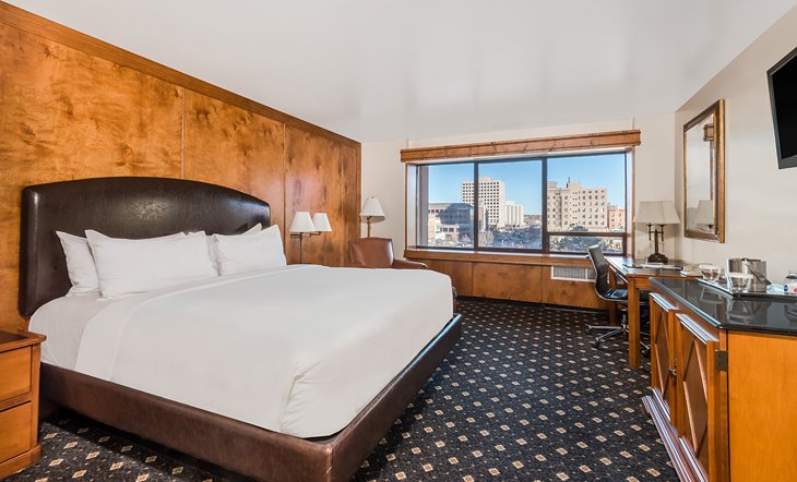 12 Best Pet-Friendly Hotels in Colorado Springs | PlanetWare