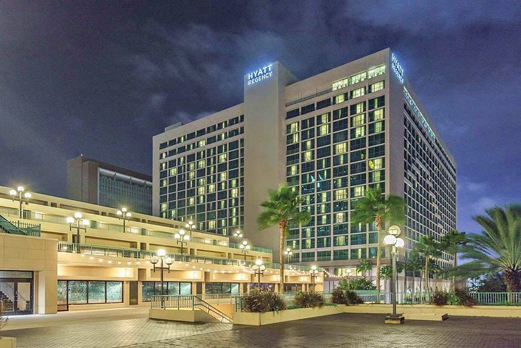 pet friendly hilton hotels jacksonville fl