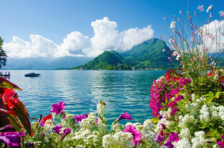 Blooming flowers along Lac d'Annecy