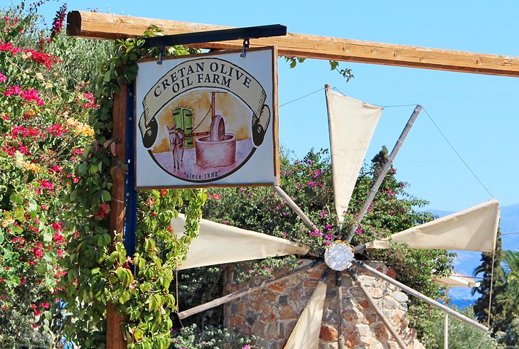 Cretan Olive Farm