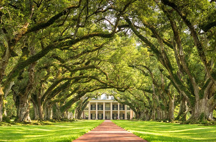 Best Time to Visit New Orleans, LA