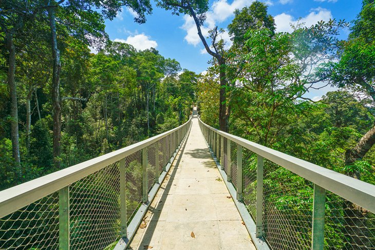Canopy walk at The Habitat Penang Hill