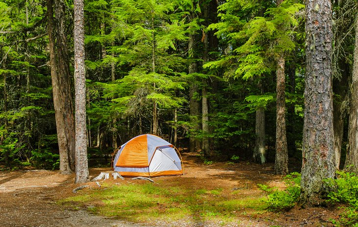 Fish Creek Campground