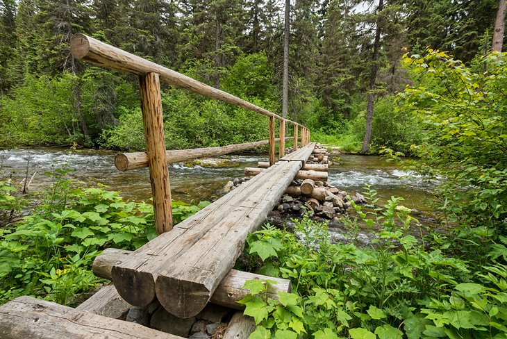 Quartz Creek hiking trail