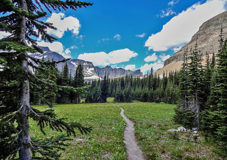 Preston Park on the Siyeh Pass Trail