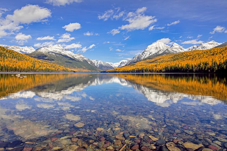 Fall colors at Bowman Lake