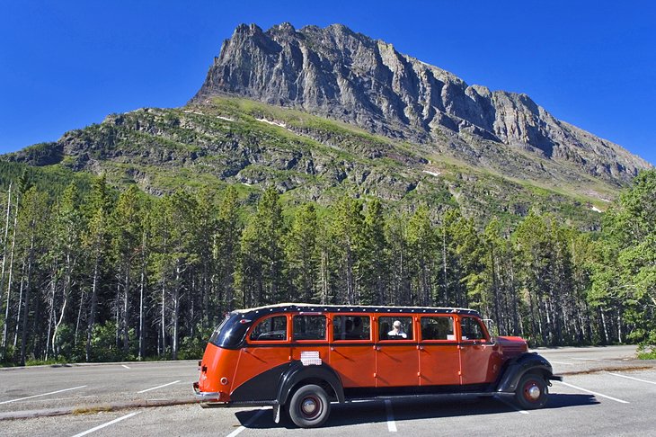 Red Bus Tour in Glacier