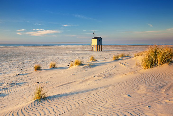 Terschelling Island