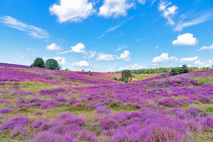 Veluwezoom National Park