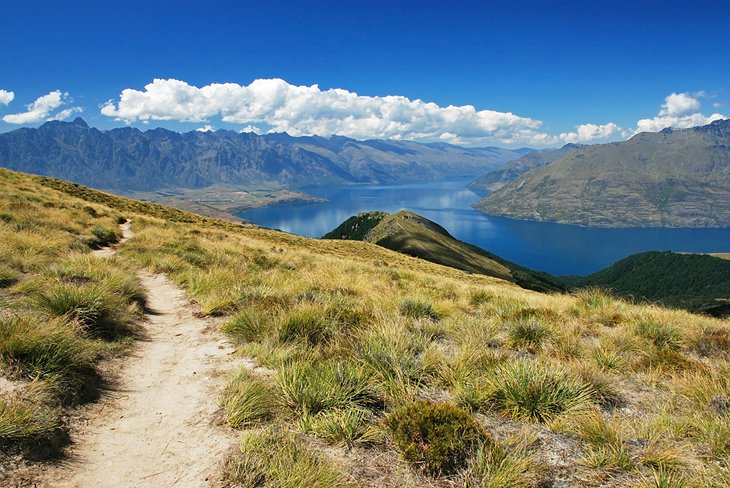 Ben Lomond Track