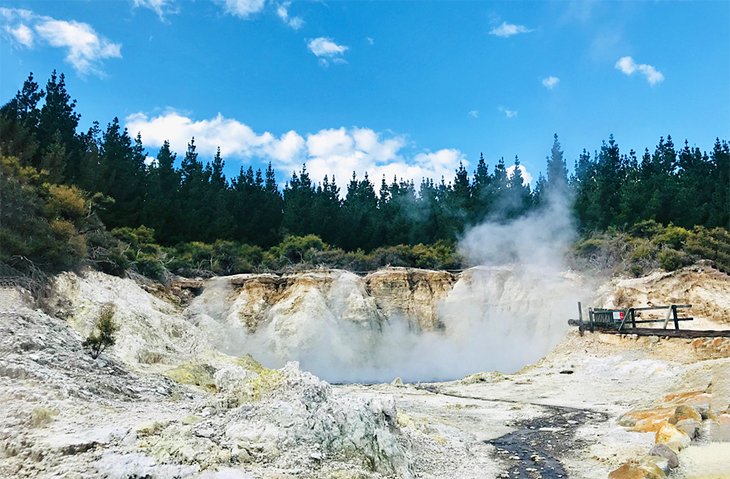 tourist activities in rotorua