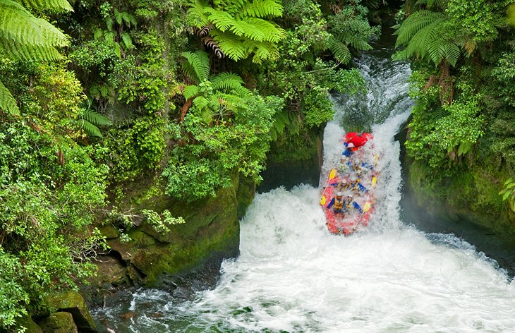 Vigas descendiendo Tutea Falls en el río Kaituna