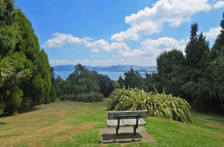 View of Lake Taupo from the Waipahihi Botanical Reserve