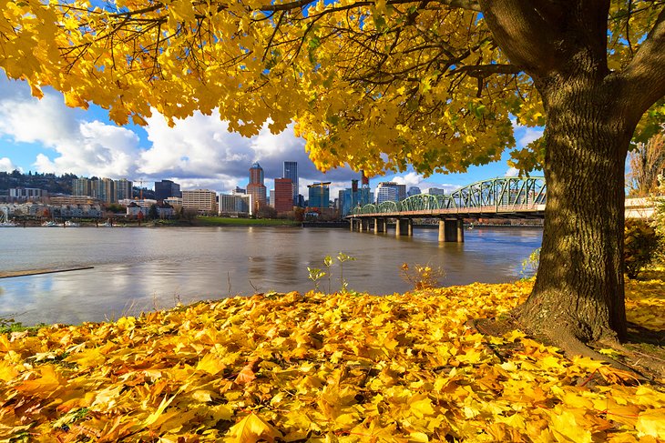 Fall colors in Portland