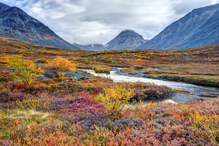 The Russian tundra