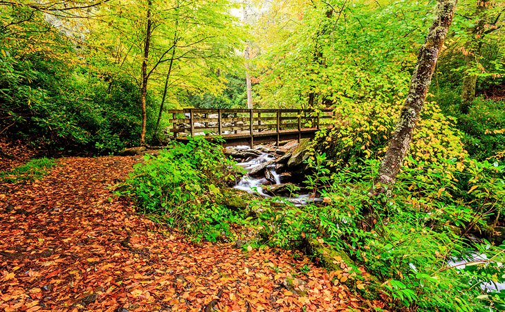 Chimney Tops Trail during the fall