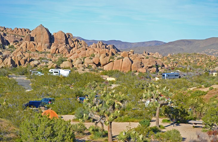 Jumbo Rocks Campground