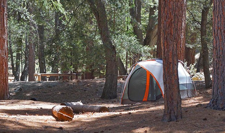 Fern Basin Campground