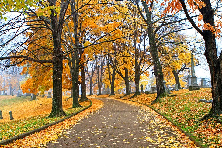Fall colors in Nashville