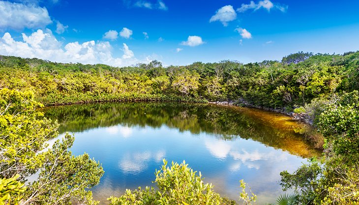 Cottage Pond, North Caicos