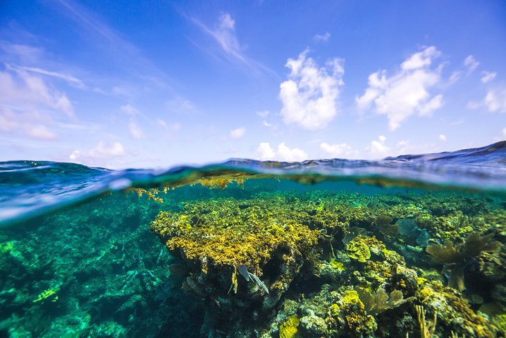 Turks and Caicos in Pictures: 16 Beautiful Places to Photograph ...