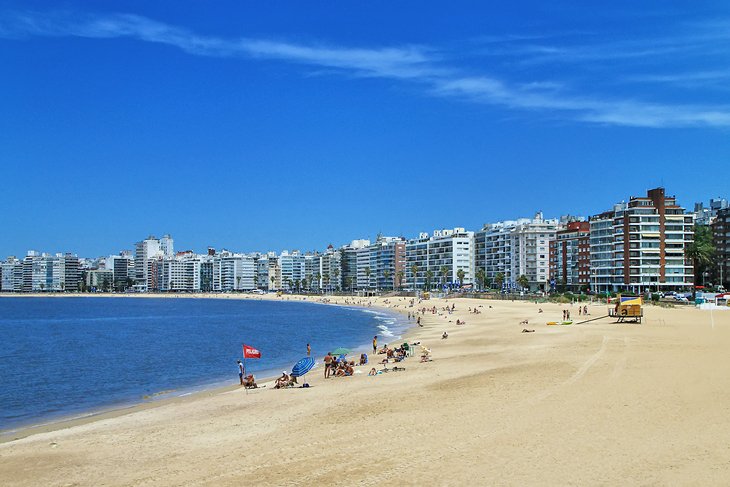 Pocitos beach
