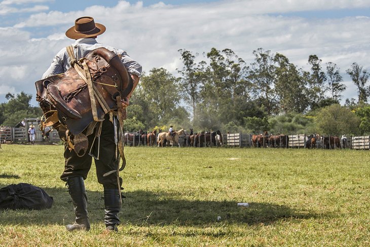 Gaucho in Maldonado, Uruguay