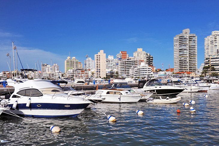 Punta del Este harbor