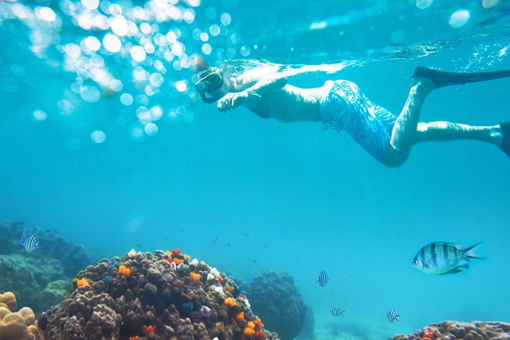 Snorkeling in Vietnam