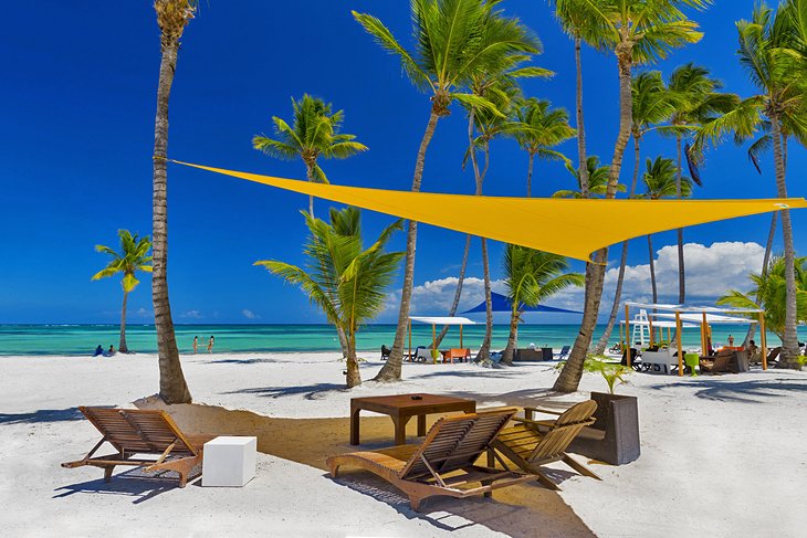A beautiful palm-lined beach in Barbados