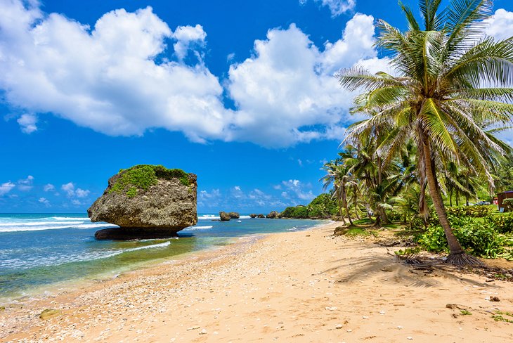 Rock formation on the beach at Bathsheba, Barbados