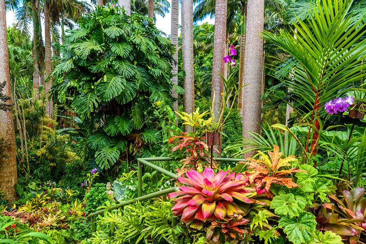 Hunte's Botanical Garden on Barbados